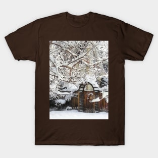 Garden Gate in Winter T-Shirt